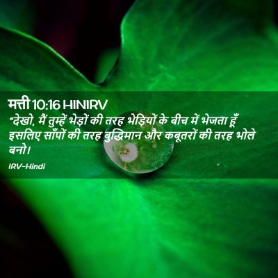 Picture 02 - मत्ती 10:16 HINIRV - “देखो, मैं तुम्हें - Bible Verse Picture