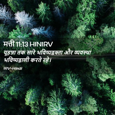 Picture 02 - मत्ती 11:13 HINIRV - यूहन्ना तक सारे - Bible Verse Picture