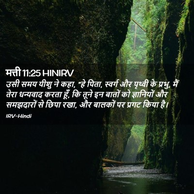 Picture 02 - मत्ती 11:25 HINIRV - उसी समय यीशु ने - Bible Verse Picture