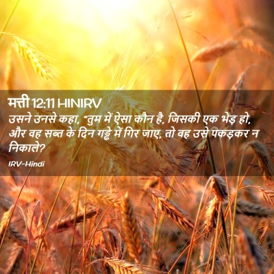 Picture 02 - मत्ती 12:11 HINIRV - उसने उनसे कहा, “तुम - Bible Verse Picture