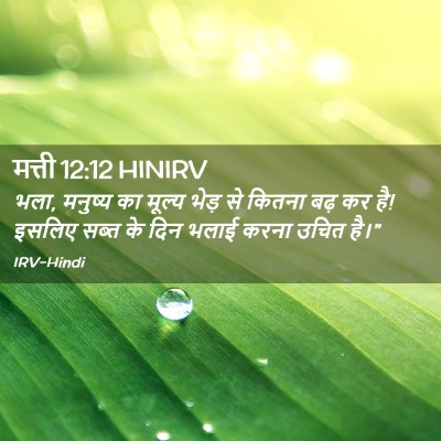Picture 02 - मत्ती 12:12 HINIRV - भला, मनुष्य का - Bible Verse Picture