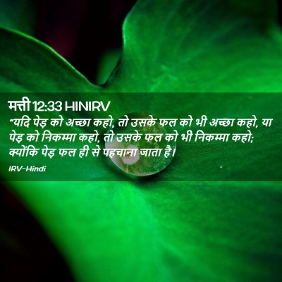 Picture 02 - मत्ती 12:33 HINIRV - “यदि पेड़ को अच्छा - Bible Verse Picture