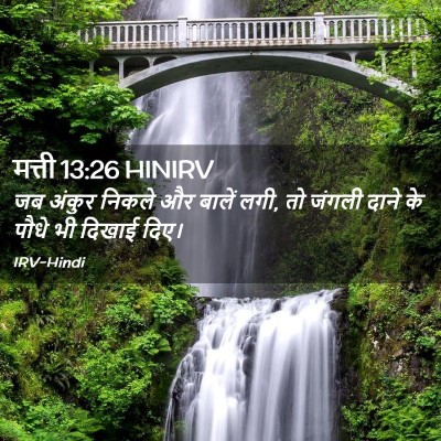 Picture 02 - मत्ती 13:26 HINIRV - जब अंकुर निकले और - Bible Verse Picture
