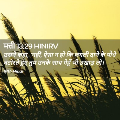 Picture 02 - मत्ती 13:29 HINIRV - उसने कहा, ‘नहीं, - Bible Verse Picture