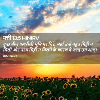 Picture 02 - मत्ती 13:5 HINIRV - कुछ बीज पत्थरीली - Bible Verse Picture