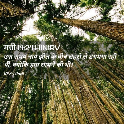 Picture 02 - मत्ती 14:24 HINIRV - उस समय नाव झील के - Bible Verse Picture
