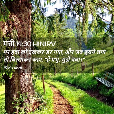 Picture 02 - मत्ती 14:30 HINIRV - पर हवा को देखकर डर - Bible Verse Picture