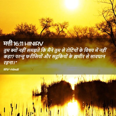 Picture 02 - मत्ती 16:11 HINIRV - तुम क्यों नहीं - Bible Verse Picture