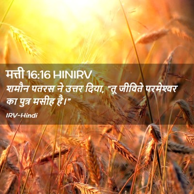 Picture 02 - मत्ती 16:16 HINIRV - शमौन पतरस ने उत्तर - Bible Verse Picture