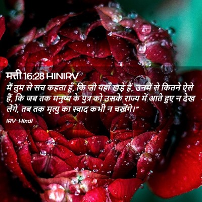 Picture 02 - मत्ती 16:28 HINIRV - मैं तुम से सच कहता - Bible Verse Picture