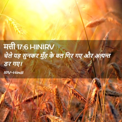 Picture 02 - मत्ती 17:6 HINIRV - चेले यह सुनकर मुँह - Bible Verse Picture