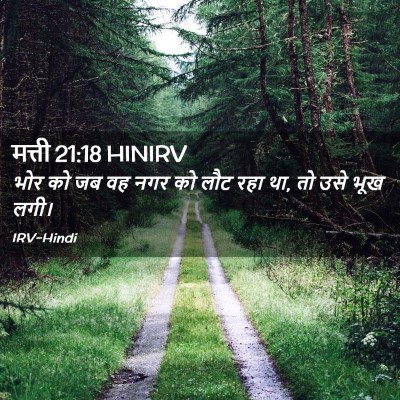 Picture 02 - मत्ती 21:18 HINIRV - भोर को जब वह नगर को - Bible Verse Picture