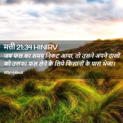 Picture 02 - मत्ती 21:34 HINIRV - जब फल का समय निकट - Bible Verse Picture