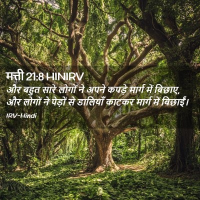 Picture 02 - मत्ती 21:8 HINIRV - और बहुत सारे लोगों - Bible Verse Picture