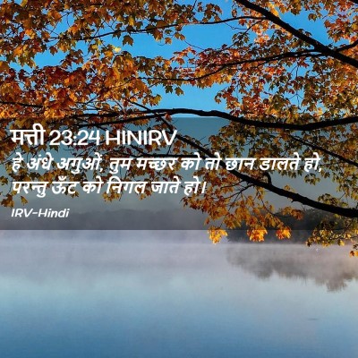 Picture 02 - मत्ती 23:24 HINIRV - हे अंधे अगुओं, तुम - Bible Verse Picture