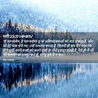 Picture 02 - मत्ती 23:37 HINIRV - “हे यरूशलेम, हे - Bible Verse Picture
