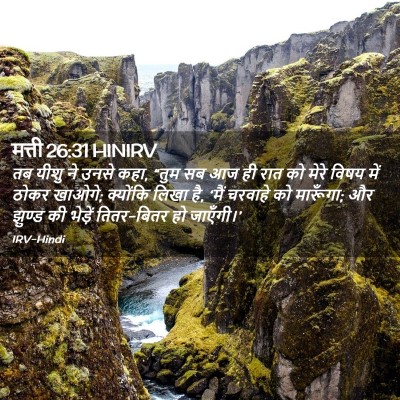 Picture 02 - मत्ती 26:31 HINIRV - तब यीशु ने उनसे - Bible Verse Picture