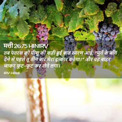 Picture 02 - मत्ती 26:75 HINIRV - तब पतरस को यीशु की - Bible Verse Picture