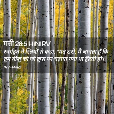 Picture 02 - मत्ती 28:5 HINIRV - स्वर्गदूत ने - Bible Verse Picture