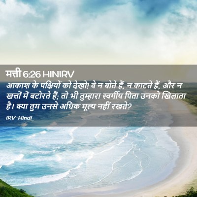 Picture 02 - मत्ती 6:26 HINIRV - आकाश के पक्षियों - Bible Verse Picture