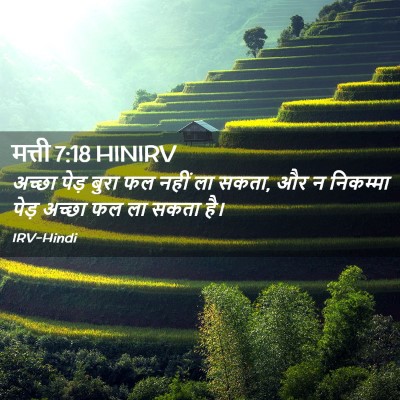 Picture 02 - मत्ती 7:18 HINIRV - अच्छा पेड़ बुरा फल - Bible Verse Picture