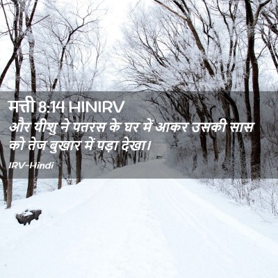 Picture 02 - मत्ती 8:14 HINIRV - और यीशु ने पतरस के - Bible Verse Picture