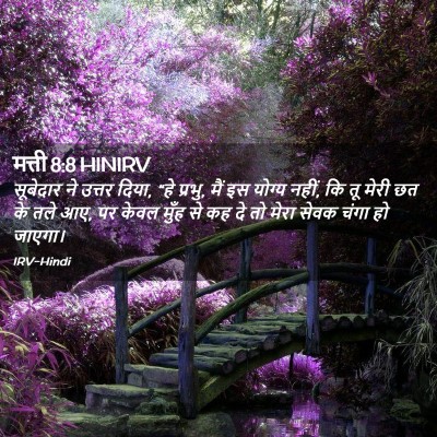 Picture 02 - मत्ती 8:8 HINIRV - सूबेदार ने उत्तर - Bible Verse Picture
