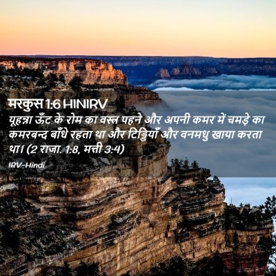 Picture 02 - मरकुस 1:6 HINIRV - यूहन्ना ऊँट के रोम - Bible Verse Picture