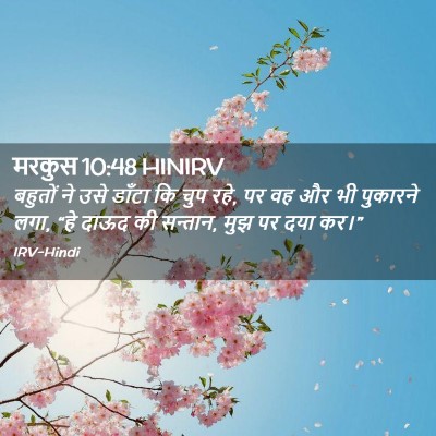 Picture 02 - मरकुस 10:48 HINIRV - बहुतों ने उसे - Bible Verse Picture