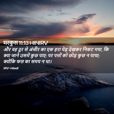 Picture 02 - मरकुस 11:13 HINIRV - और वह दूर से अंजीर - Bible Verse Picture