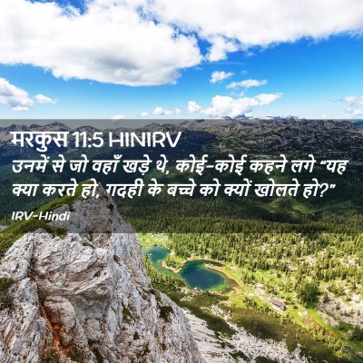 Picture 02 - मरकुस 11:5 HINIRV - उनमें से जो वहाँ - Bible Verse Picture