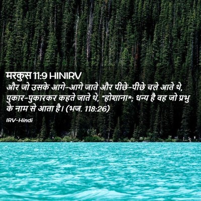 Picture 02 - मरकुस 11:9 HINIRV - और जो उसके आगे-आगे - Bible Verse Picture