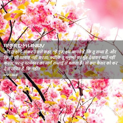 Picture 02 - मरकुस 12:14 HINIRV - और उन्होंने आकर - Bible Verse Picture