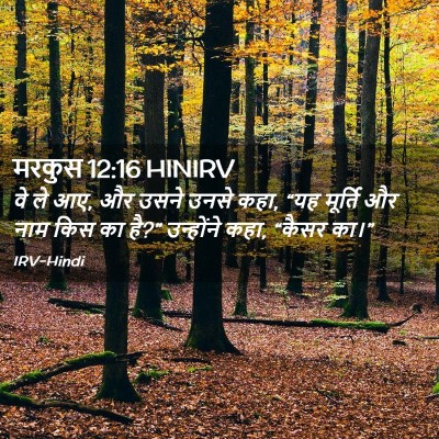 Picture 02 - मरकुस 12:16 HINIRV - वे ले आए, और उसने - Bible Verse Picture