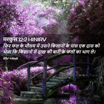 Picture 02 - मरकुस 12:2 HINIRV - फिर फल के मौसम में - Bible Verse Picture
