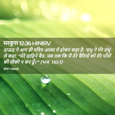 Picture 02 - मरकुस 12:36 HINIRV - दाऊद ने आप ही - Bible Verse Picture