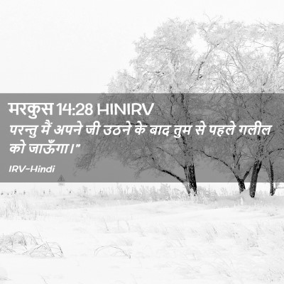 Picture 02 - मरकुस 14:28 HINIRV - परन्तु मैं अपने जी - Bible Verse Picture