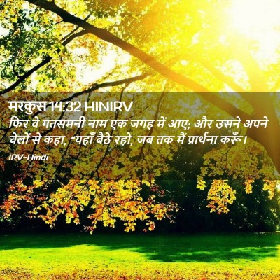 Picture 02 - मरकुस 14:32 HINIRV - फिर वे गतसमनी नाम - Bible Verse Picture