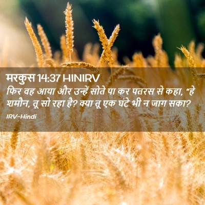 Picture 02 - मरकुस 14:37 HINIRV - फिर वह आया और - Bible Verse Picture
