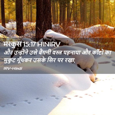 Picture 02 - मरकुस 15:17 HINIRV - और उन्होंने उसे - Bible Verse Picture