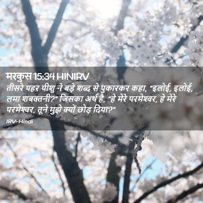 Picture 02 - मरकुस 15:34 HINIRV - तीसरे पहर यीशु ने - Bible Verse Picture