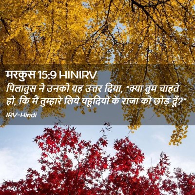 Picture 02 - मरकुस 15:9 HINIRV - पिलातुस ने उनको यह - Bible Verse Picture