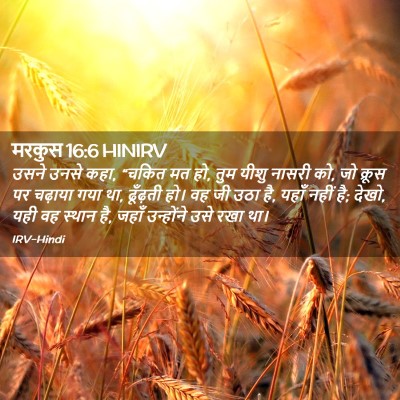 Picture 02 - मरकुस 16:6 HINIRV - उसने उनसे कहा, - Bible Verse Picture