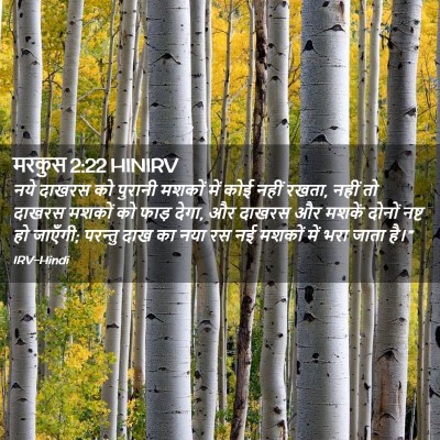 Picture 02 - मरकुस 2:22 HINIRV - नये दाखरस को - Bible Verse Picture