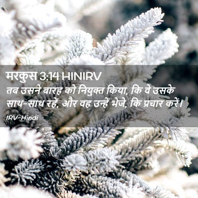 Picture 02 - मरकुस 3:14 HINIRV - तब उसने बारह को - Bible Verse Picture