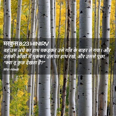 Picture 02 - मरकुस 8:23 HINIRV - वह उस अंधे का हाथ - Bible Verse Picture