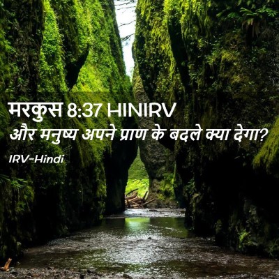 Picture 02 - मरकुस 8:37 HINIRV - और मनुष्य अपने - Bible Verse Picture