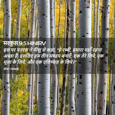 Picture 02 - मरकुस 9:5 HINIRV - इस पर पतरस ने यीशु - Bible Verse Picture
