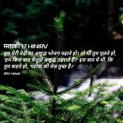 Picture 02 - मलाकी 1:7 HINIRV - तुम मेरी वेदी पर - Bible Verse Picture
