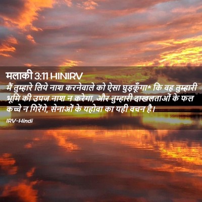 Picture 02 - मलाकी 3:11 HINIRV - मैं तुम्हारे लिये - Bible Verse Picture